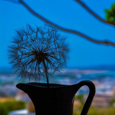 Dandelion Casa vacanze